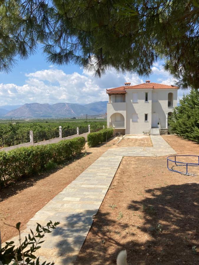 Enchanting Mycenae - Your Greek Holiday Retreat آرغوس المظهر الخارجي الصورة