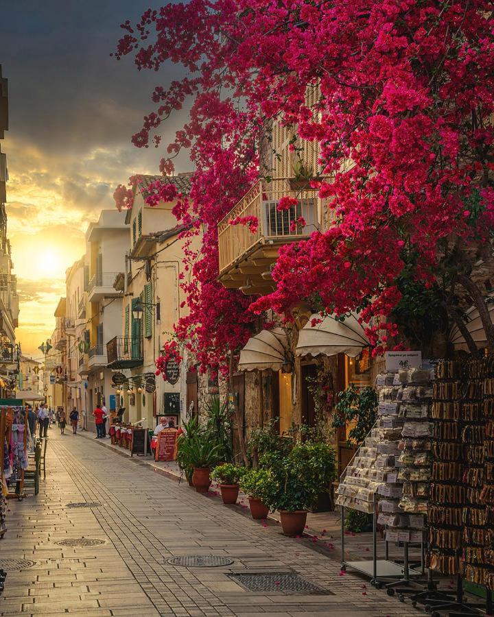 Enchanting Mycenae - Your Greek Holiday Retreat آرغوس المظهر الخارجي الصورة